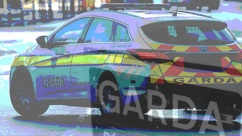 Man in his 60s seriously assaulted on Main Street, Portarlington, Co Laois