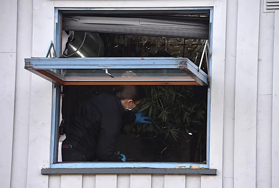 Homeowner received shocking police call about cannabis plantation in his property