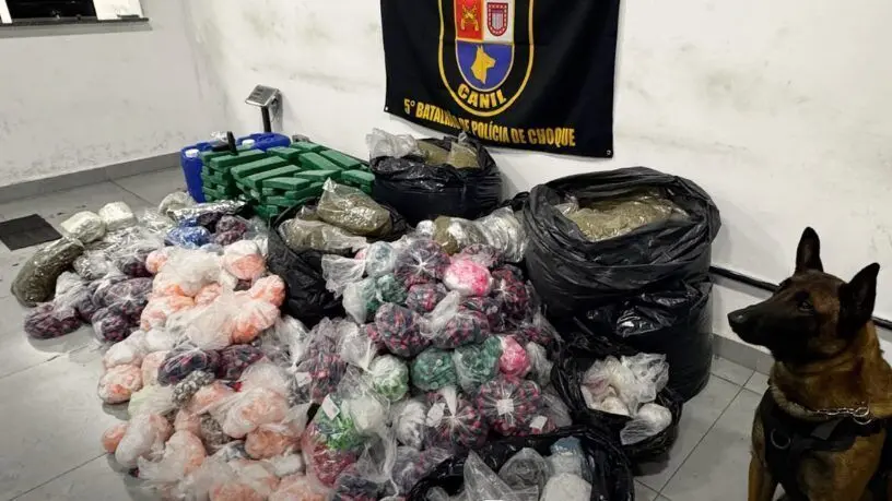 Police dog operation removes hundreds of kilograms of drugs from São Paulo community