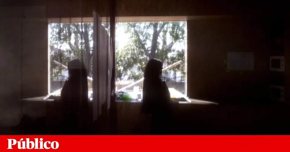 Prisoners convicted of domestic violence continue to rise in Portugal