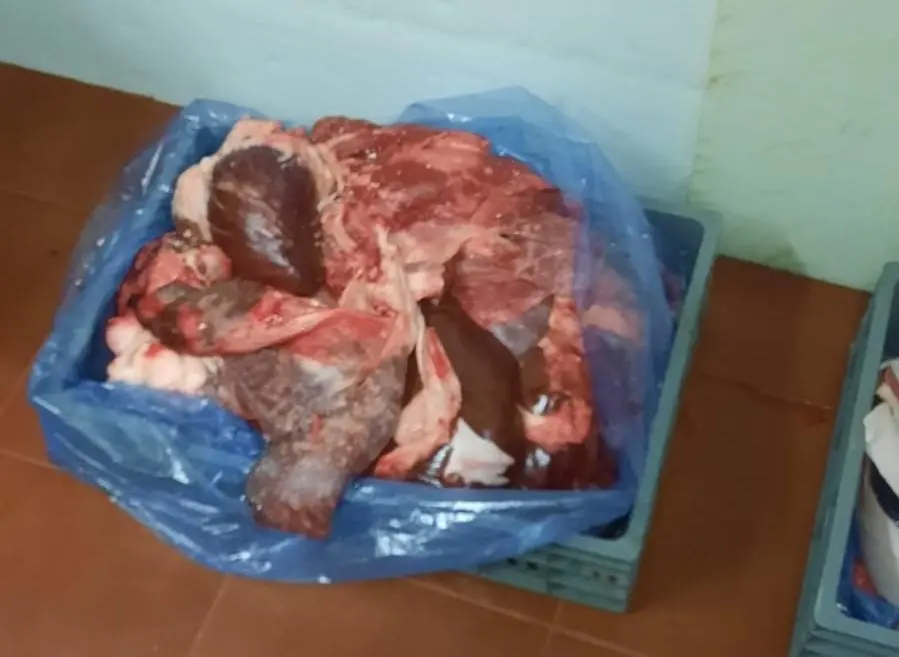 Meat company shut down after seizure of 5.3 tonnes of unsuitable products in Attica