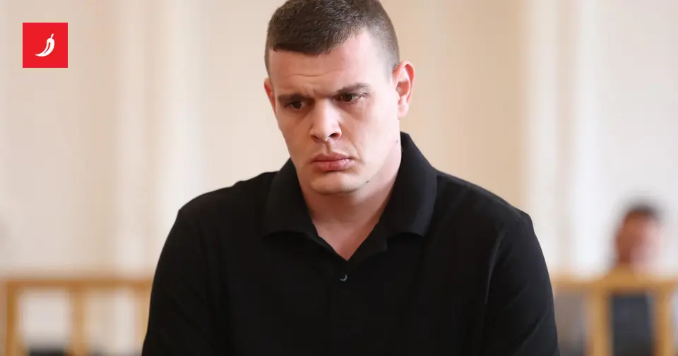 Emergency Services Staff Give Contradictory Accounts of Accused Murderer's Behaviour in Osijek