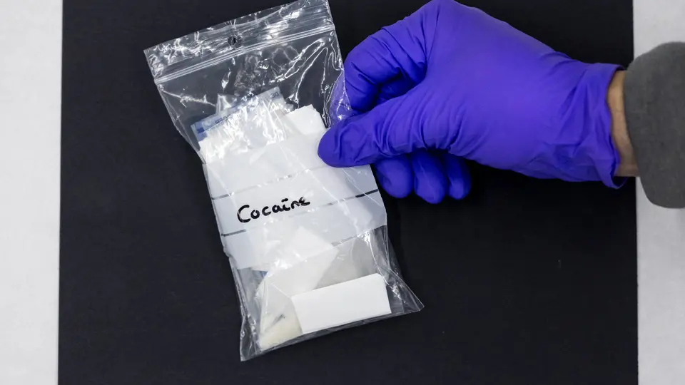 5.2 tonnes of drugs seized in Paris region, rise of 26% in one year