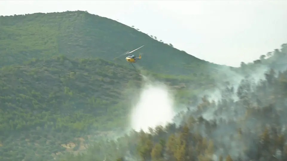 Arrest of French citizen for fire in Perahora, Corinthia