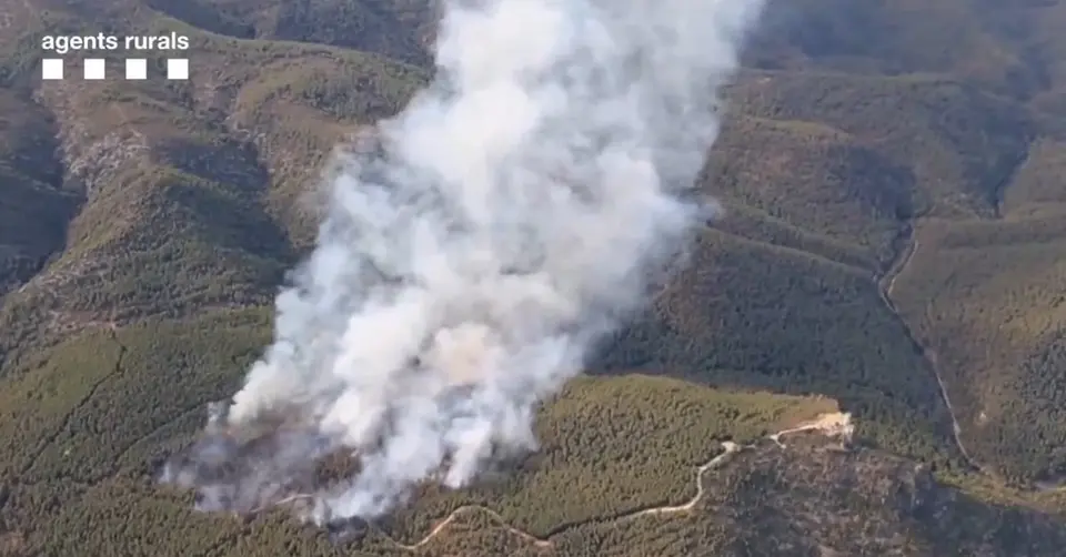 Detenido un hombre de 53 años por el incendio forestal de Castellví de la Marca