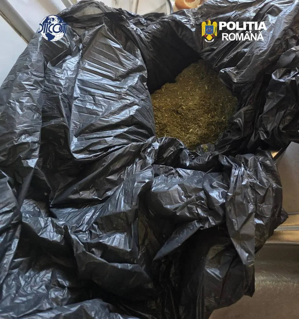 Rețea de droguri coordonată dintr-un penitenciar din București, destructurată: șase arestați
