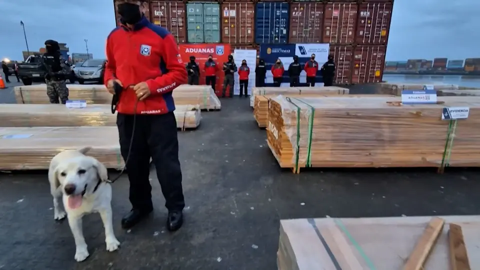 Chile: Hallan 108 toneladas de droga oculta en madera de exportación