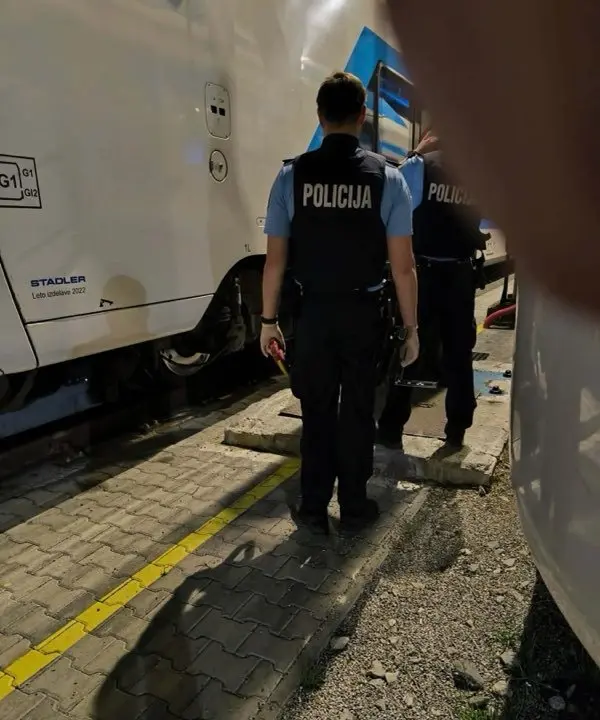 Napad na potniški vlak pri Metliki: kamen ali strel? Forenzika išče odgovor