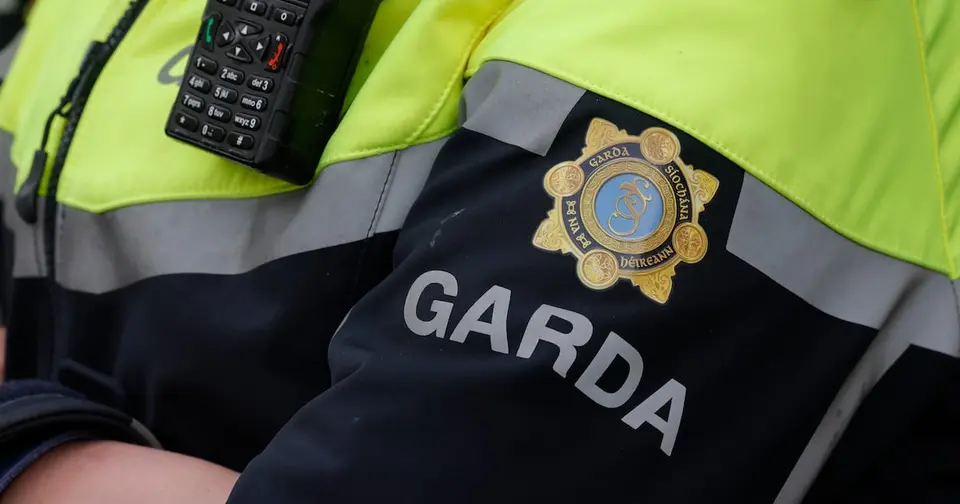 Man Arrested After Gardaí Seize €117,000 Worth of Cannabis in Cork Grow House