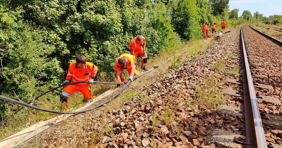 Vol de câbles à Argentan : le trafic SNCF rétabli après 300 connexions réparées