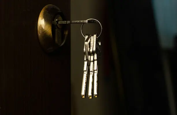 Rental scams targeting Irish students: Gardaí warn of €400k in losses