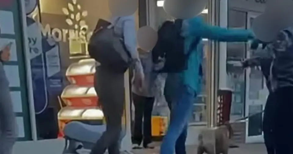 Woman and dog attacked outside Morrisons in Newhaven, Sussex Police investigating