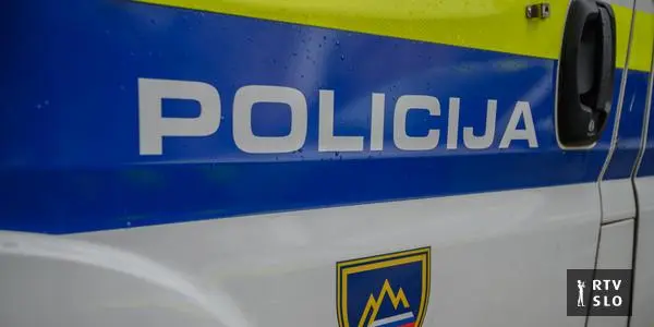 Inmate escapes from hospital in Novo mesto; court officer injured