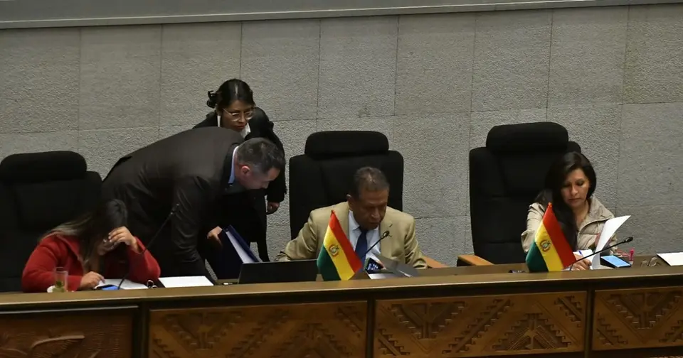 Ministro Oviedo niega prueba científica de droga en madera boliviana incautada en Chile