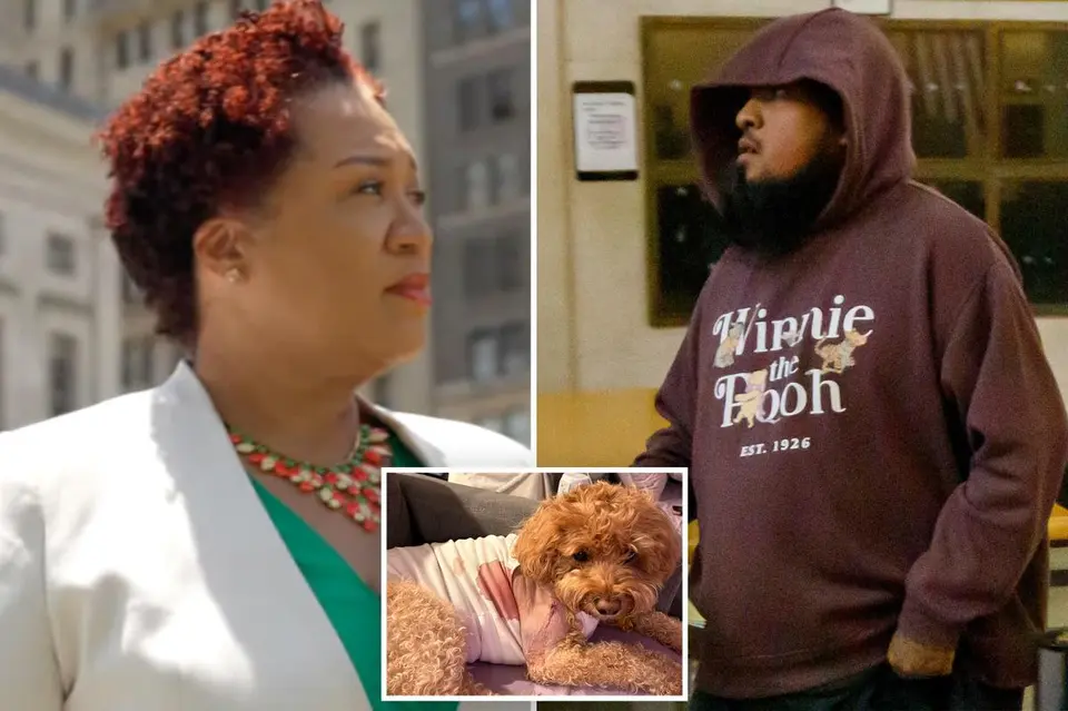 NYC Judge Releases Gunman Who Shot Service Dog, Ignoring $150K Bail Request