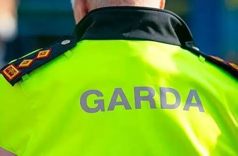 Two arrested after stinger device stops stolen car chase in Limerick