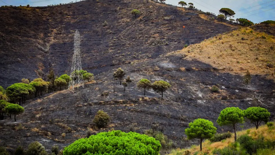 Detenido por el incendio de Collserola que quemó 54 hectáreas en Barcelona