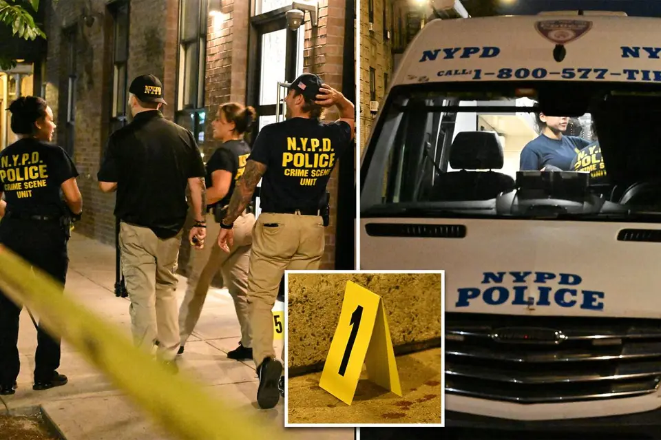 Bronx School Worker Stabbed to Death by Man with 13 Prior Arrests