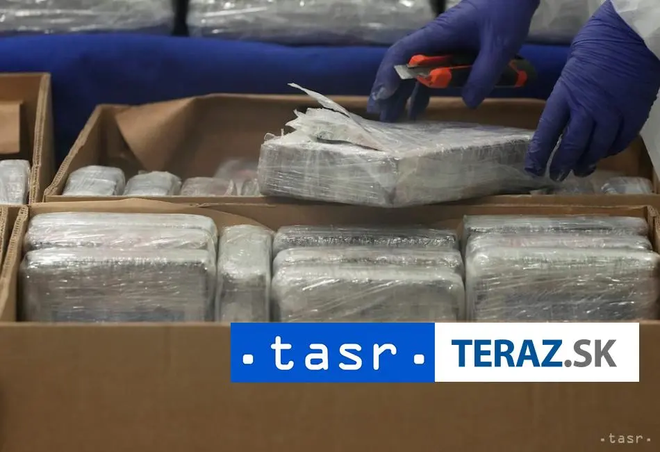Decomisan 100 toneladas de drogas ocultas en madera con destino a Europa en Chile