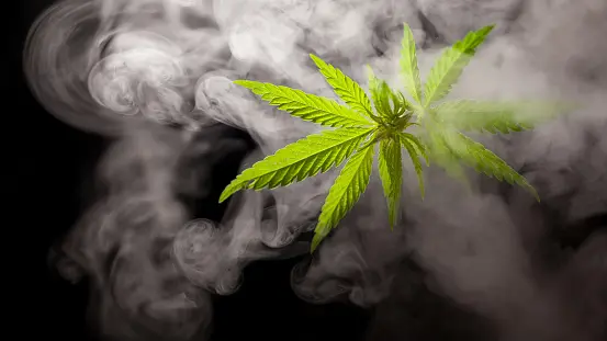 Brittons Hill resident pleads guilty to all three cannabis charges in magistrates court