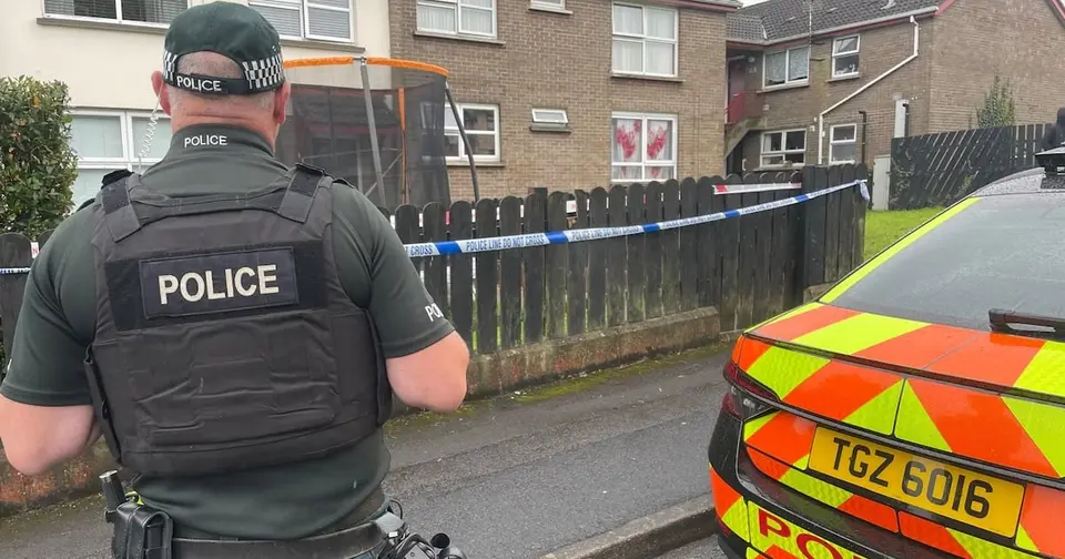 Man found dead in Dungannon home, child hospitalised — arrest made
