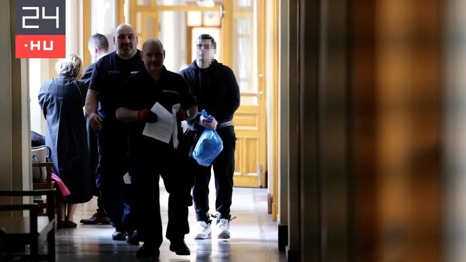 18 év fegyházat indítványoztak az anyagyilkos egyetemistának