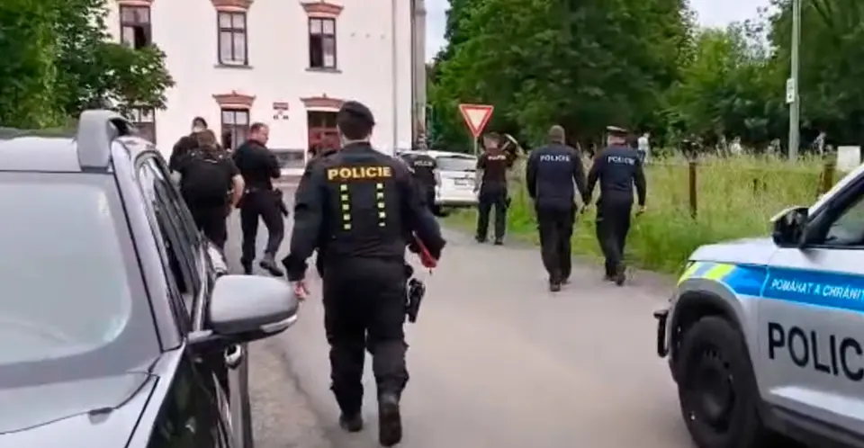 Czech woman, 35, charged with murder of newborn, allegedly disposed of body to dogs