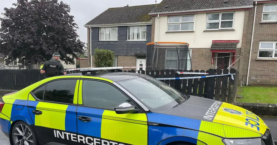 Child critical after fatal Dungannon home attack, one man arrested