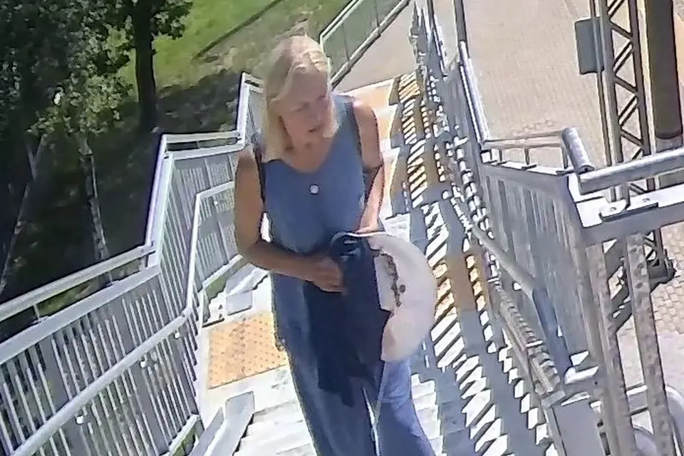 Kauno policija ieško dingusios Vidos Ladienės iš Kaišiadorių
