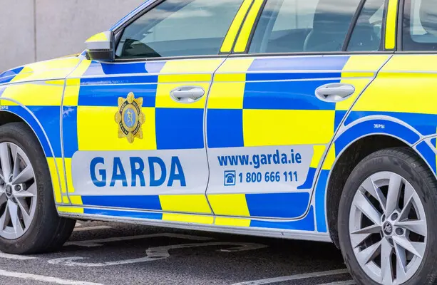 Violent disorder in Leopardstown leaves one man critical, arrest made