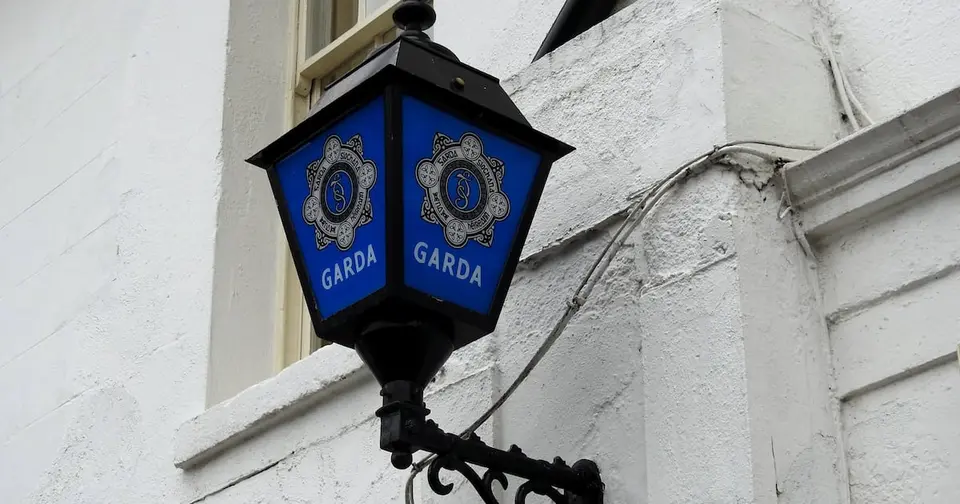 Man charged after violent disorder in Leopardstown leaves one in critical condition