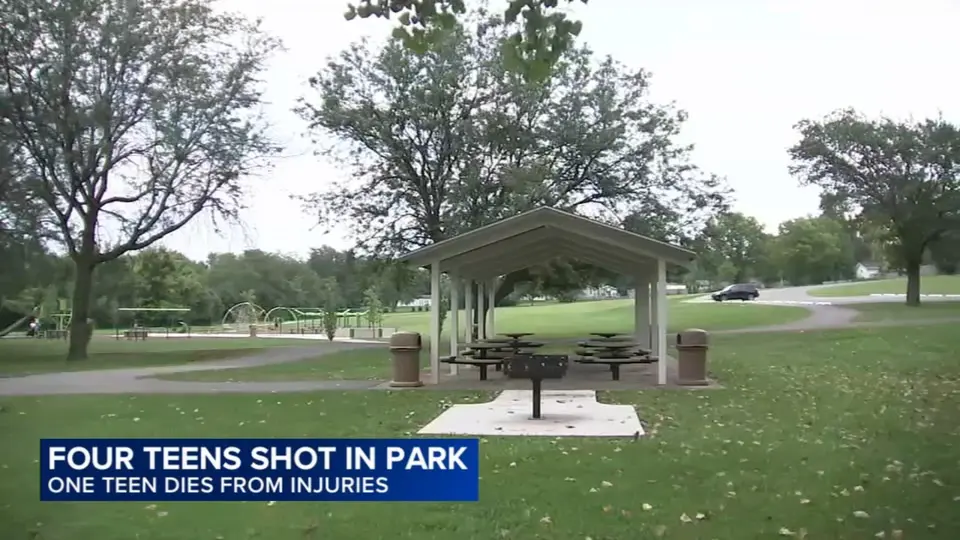 Teen killed, three others shot at Crest Hill park gathering in Illinois