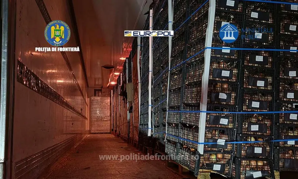 Romanian-Moldovan cigarette smuggling network dismantled: €11 million loss