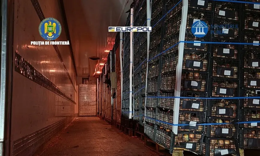 Contraband cigarettes worth €7 million discovered hidden in onions at Giurgiu