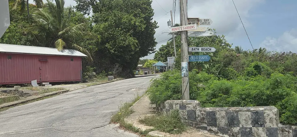 Nearly 6,000 Cannabis Plants Destroyed in St John Drug Sweep