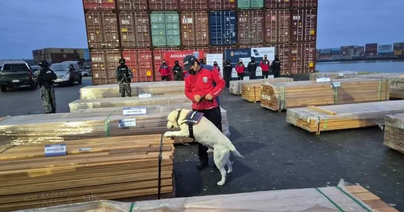 Chile seizes more than 1,000 tonnes of drugs hidden in timber with aid of detection dogs