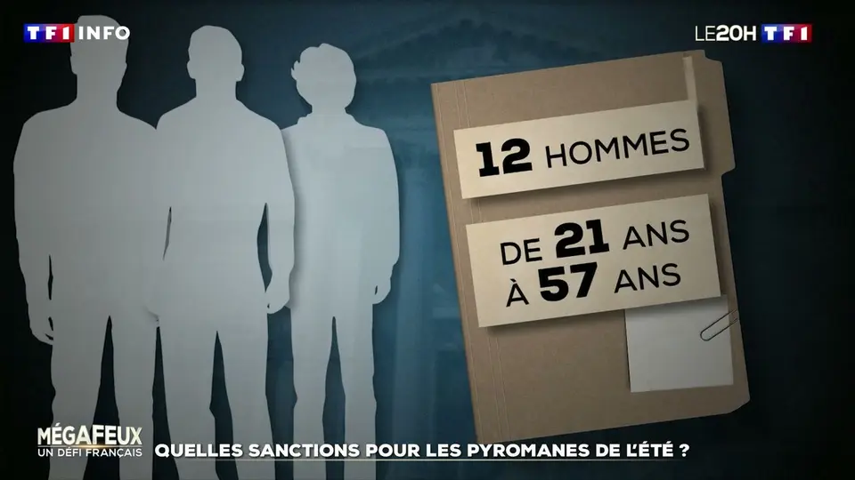 Incendies volontaires en France : 514 arrestations et jusqu'à la perpétuité encourue