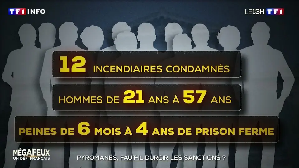Plus de 500 pyromanes interpellés cet été en France : faut-il renforcer les peines ?