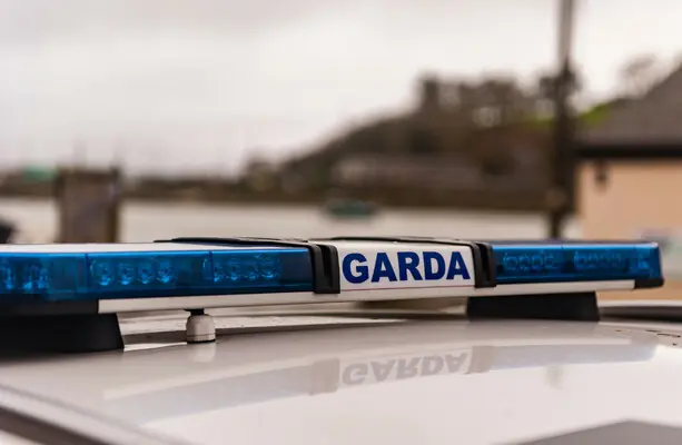 Two men charged over violent disorder at Leopardstown business park