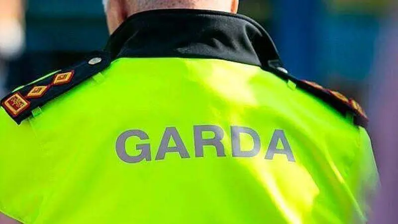 Two men charged over Leopardstown violent disorder, third already before courts