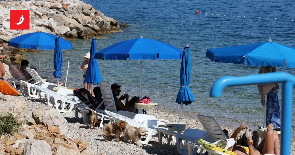 Serijski kradljivci uhićeni na plažama Istre: 20 krađa, šteta desetke tisuća eura