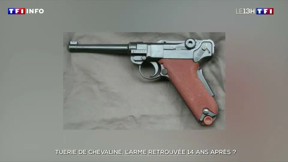 Tuerie de Chevaline : un pistolet repêché au fond du lac d'Annecy, 14 ans après