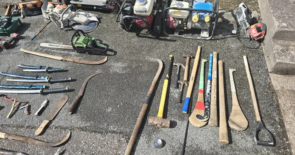 Garda raid on Cork halting site nets drugs, weapons and 13 animals