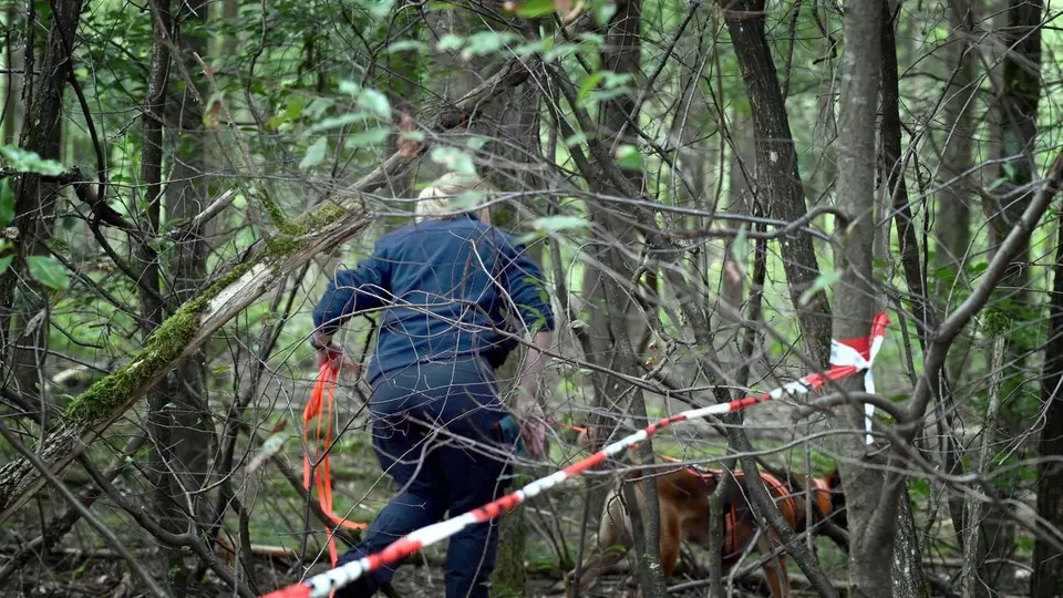 Mord an Joggerin im Lampertheimer Wald: „Aktenzeichen XY" nimmt Fall erneut auf