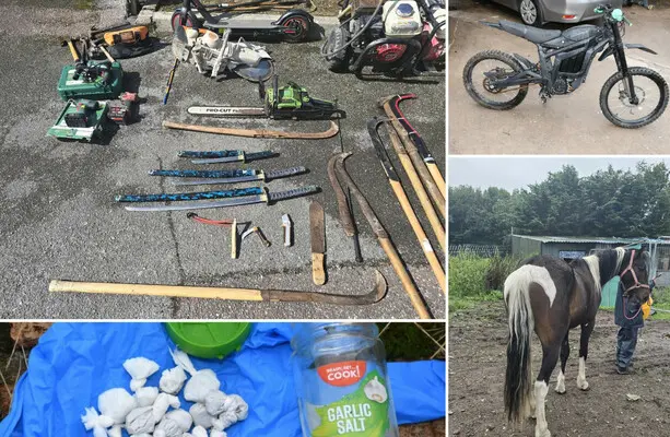 Cork city raid: drugs, swords, horses and €6,000 cash seized in Mahon