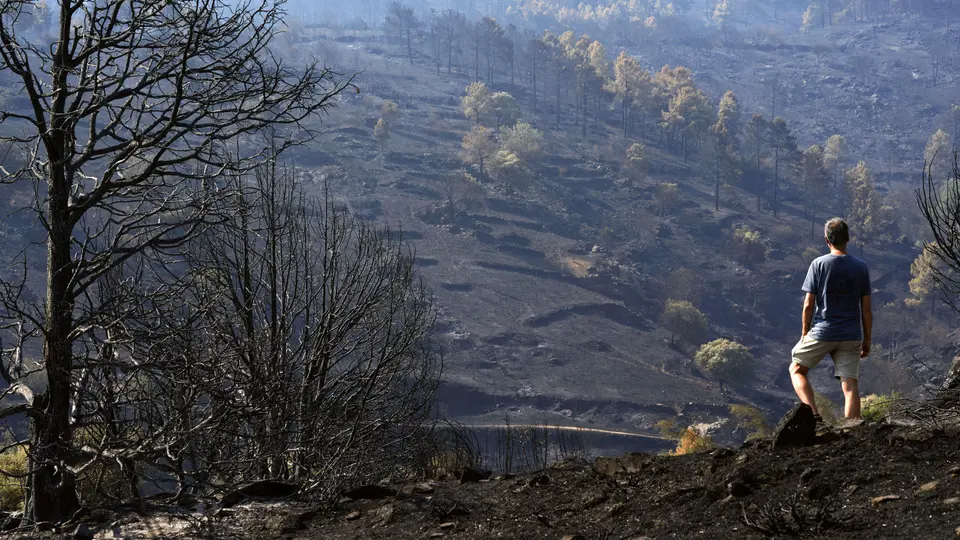 Tribunal de Ávila abre investigación por el incendio de Burgohondo: posibles delitos ambientales