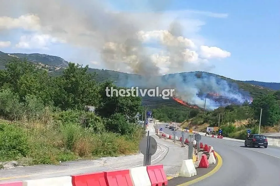 Three arrests over Philyro fire in Thessaloniki