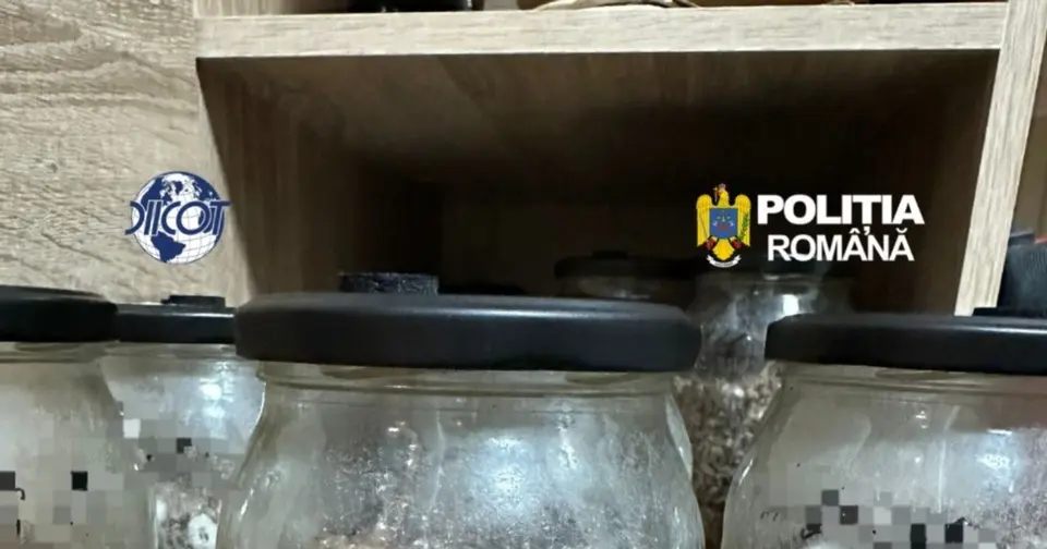 Danish and Peruvian citizens held for 30 days following drug "retreat" in Hunedoara