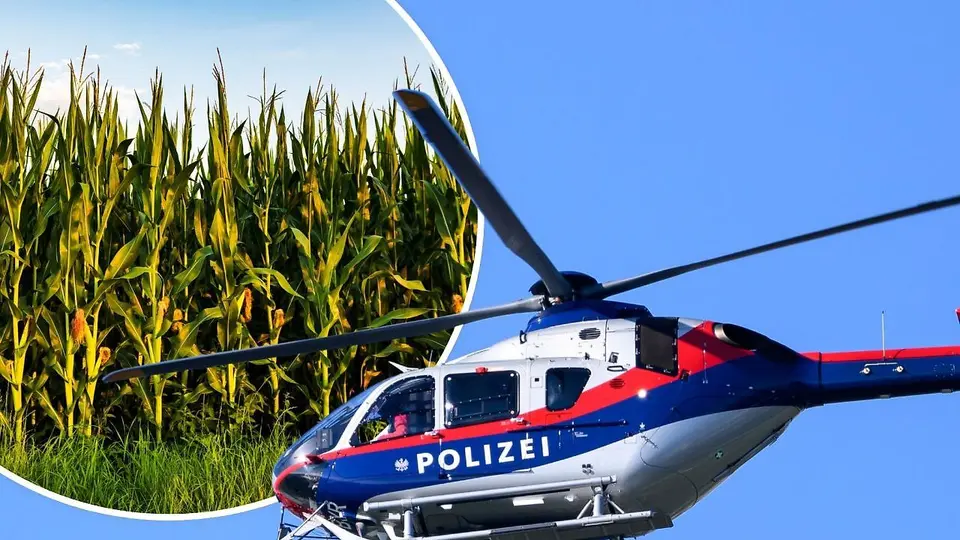 Flucht vor Polizei in Lustenau: 23-Jähriger versteckt sich in Maisfeld