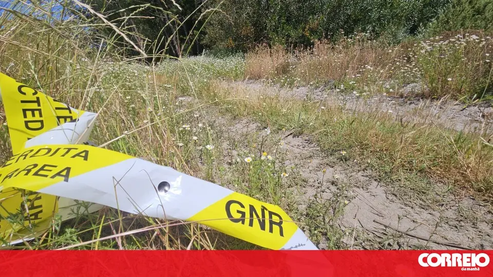 Cadáver encontrado em terreno agrícola em Montemor-o-Velho